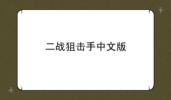 二战狙击手中文版