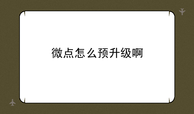 微点怎么预升级啊