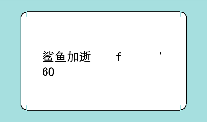 鲨鱼加速器安卓版