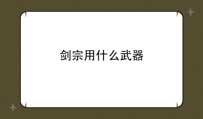 剑宗用什么武器