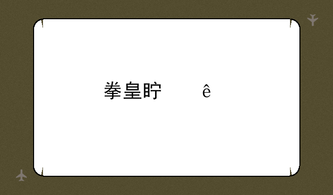 拳皇真人版游戏