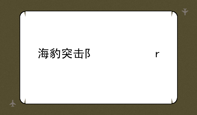 海豹突击队常服