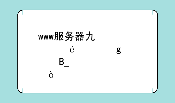 www服务器也被称为web站点吗？