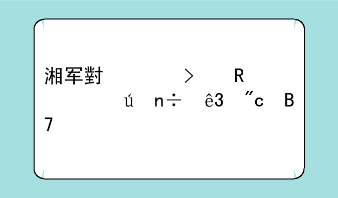 湘军小说召唤出德国二战名将