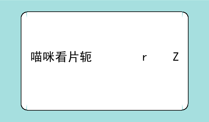 喵咪看片软件最新版