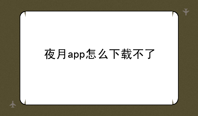 夜月app怎么下载不了