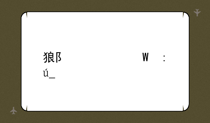 狼队如何获得激活码