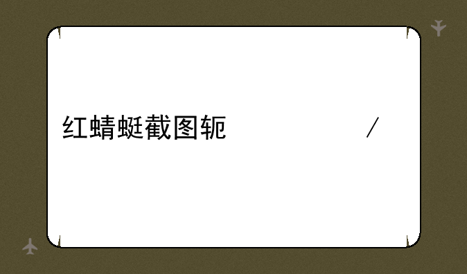 红蜻蜓截图软件下载