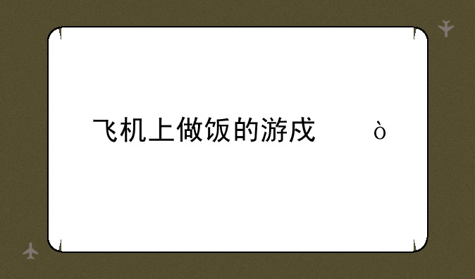 飞机上做饭的游戏？