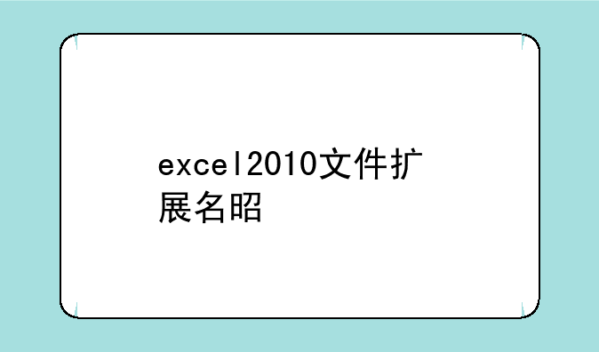 excel2010文件扩展名是什么