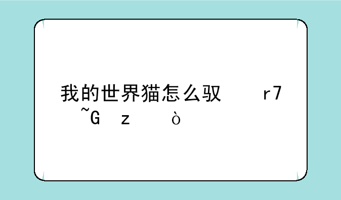 我的世界猫怎么驯服蟑螂？