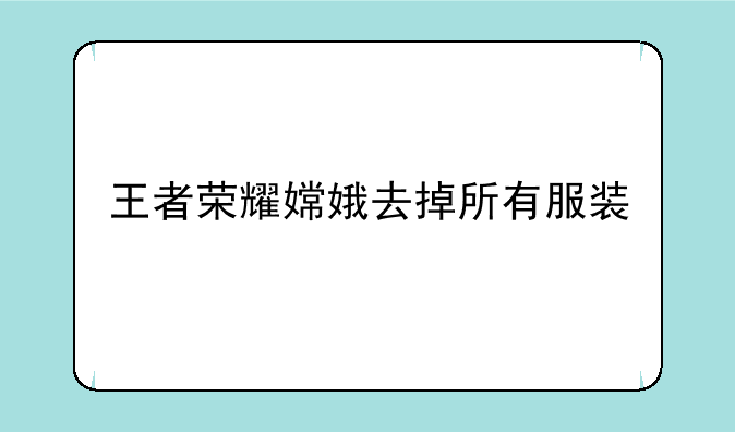 王者荣耀嫦娥去掉所有服装