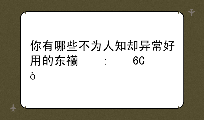 你有哪些不为人知却异常好用的东西推荐？