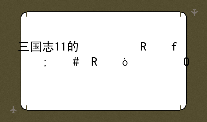 三国志11的修改器怎么用？具体点