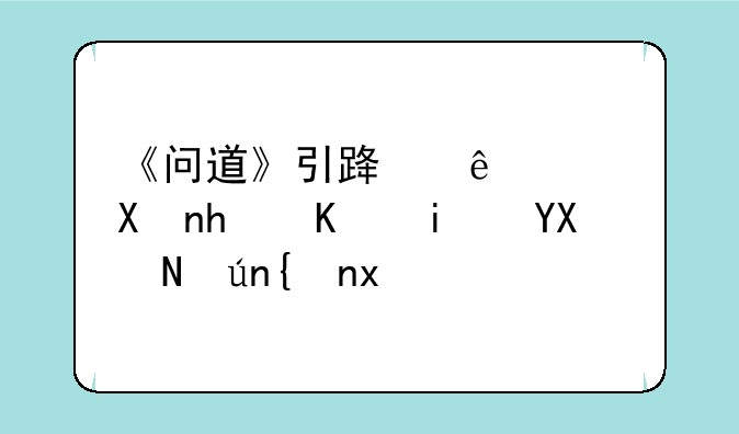 《问道》引路人积分怎么搞啊,说详细点.