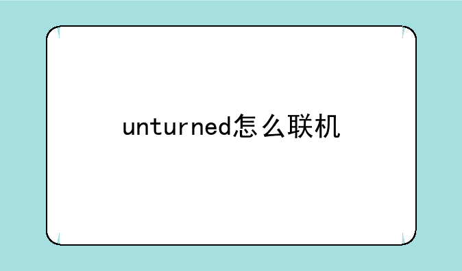 unturned怎么联机